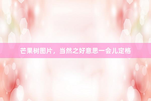 芒果树图片，当然之好意思一会儿定格