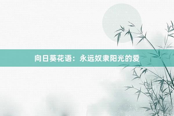 向日葵花语：永远奴隶阳光的爱