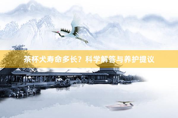 茶杯犬寿命多长？科学解答与养护提议