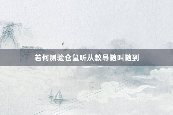 若何测验仓鼠听从教导随叫随到
